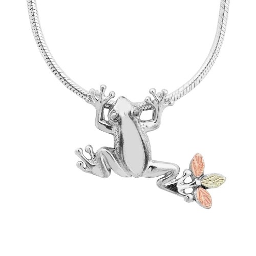Silver Frog Pendant with Slider Chain 